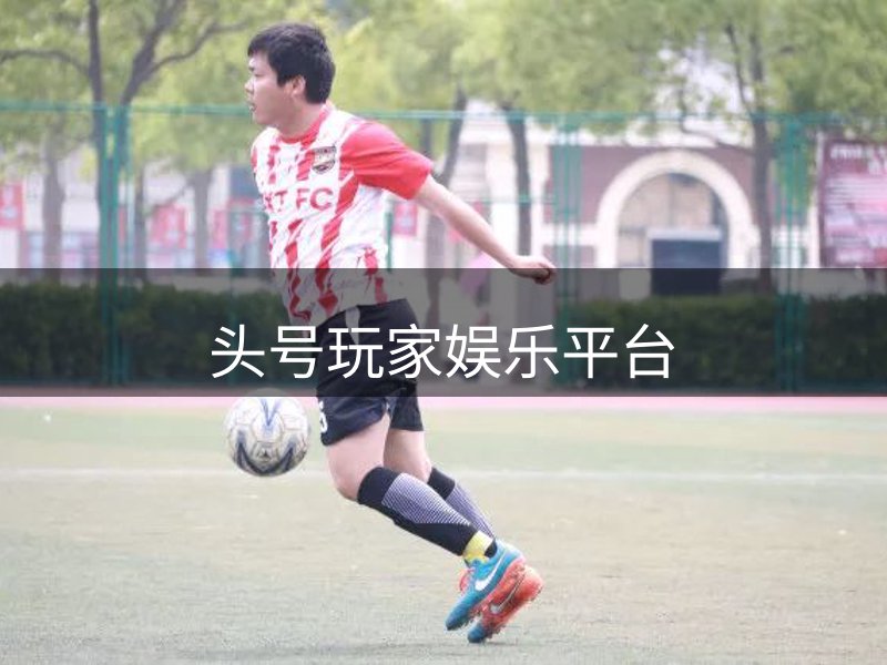 网站生态